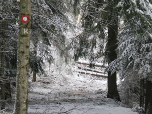 Sršenov vrh 16-12-2017 (5)